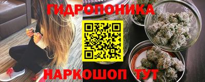 молекула духа Железногорск
