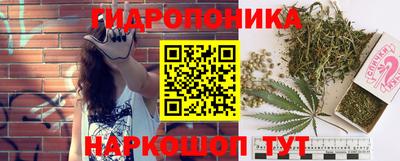 PSILOCYBIN Ефремов