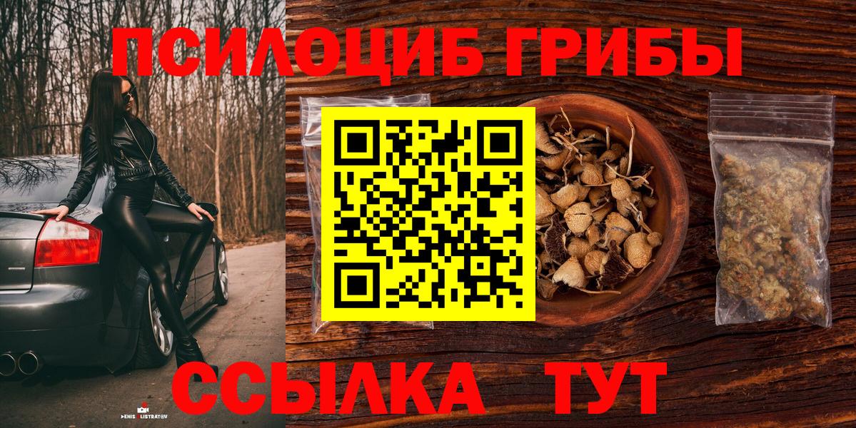 Галлюциногенные грибы GOLDEN TEACHER Новокубанск