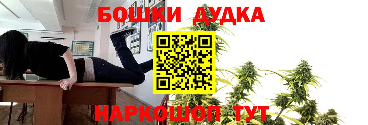 Канабис гибрид Новокубанск